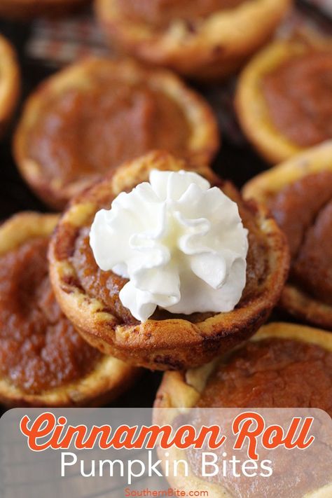 These delicious and easy pumpkin pie bites have a crunch crust made from canned cinnamon rolls! Cinnamon Roll Pumpkin, Pumpkin Bites, Canned Cinnamon Rolls, Pumpkin Pie Bites, Diy Easy Recipes, Pie Bites, Easy Pumpkin Pie, Pumpkin Pies, Thanksgiving Treats