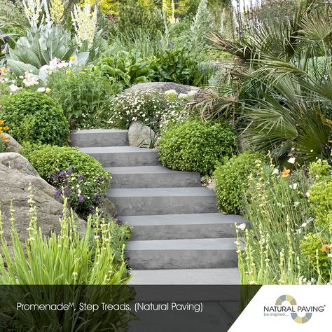 Promenade, Step Treads | Landscape Garden Ideas | Landscapes | Landscaping | Landscaping ideas | Driveway Block Paving | Driveway ideas | Driveway | Driveway Landscapes |Garden Paving | Garden Ideas | Garden Designs | Patio Ideas | Patio Paving | Patio Garden Ideas | Paving Stones | Paving Stone Patio | Paving Pattern | Block Paving Driveway | Garden Steps Block Paving Steps, Curved Stepping Stone Path, Sandstone Steps Garden, Sandstone Crazy Paving Path, Meandering Path Garden, Dream Backyard Garden, Step Treads, Stone Landscaping, Natural Stone Pavers