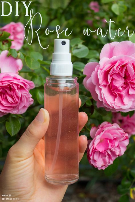 DIY Pink Rose Water Rose Spray Diy, Rose Water Diy Hair, How To Make Rose Water For Hair, Rose Water Toner Diy, Diy Toner Face Rose Water, Rose Water Hair Mist Diy, Diy Rose Water Face Mist, Rose Water For Skin, Rose Water Spray For Face