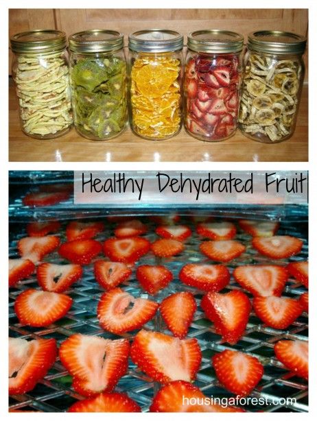 Healthy Dehydrated Fruit ~ the perfect snack for your kids lunch.  These are way better than store bought! Dehydrating Apples, Strawberries Recipes, Fruit Gummies, Fresh Fruit Recipes, Fruit Roll, Fruit Leather, Dehydrated Fruit, Dehydrated Food, Dehydrator Recipes