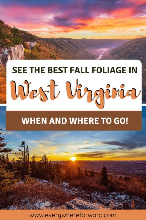 Best places to see fall foliage in West Virginia | West Virginia Fall colors | West Virginia fall foliage | West Virginia fall hiking trails | where to see fall colors in West Virginia | Fall foliage hikes in West Virginia | Fall hikes in West Virginia | where to see fall foliage in West Virginia | West Virginia | #fallfoliage #fallcolors #fallhikes#West Virginia West Virginia Hiking, Fall Foliage Road Trips, Hiking Fall, West Virginia Travel, Fall Hikes, Virginia Fall, Fall Road Trip, Virginia Travel, Virginia Usa