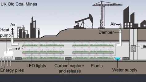 Abandoned coal mines across the UK could be brought back to life as huge underground farms, according to academics.Mine shafts and tunnels are seen as "the perfect environment" for growing food such as vegetables and herbs.The initiative is seen as a way of providing large-scale crop production for a growing global population.Advocates say subterranean farms could yield up to ten times as much as farms above ground.President of the World Society of Sustainable Energy Technology, Prof Saf Underground Farm, Air Raid Shelter, University Of Nottingham, Crop Production, Global Population, Vertical Farming, Geothermal Energy, Urban Farm, Underground Tunnels