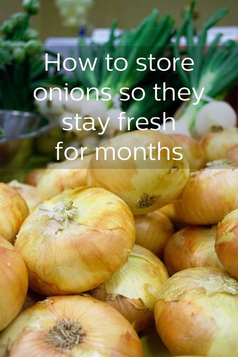 How To Hide Greens In Food, Preserving Onions Food Storage, Onion Storage Ideas How To Store, How To Store Potatoes And Onions In Pantry, How To Dry Onions For Storage, Diy Onion Storage, How To Dry Onions, Best Way To Store Potatoes And Onions, Store Onions And Potatoes In Kitchen