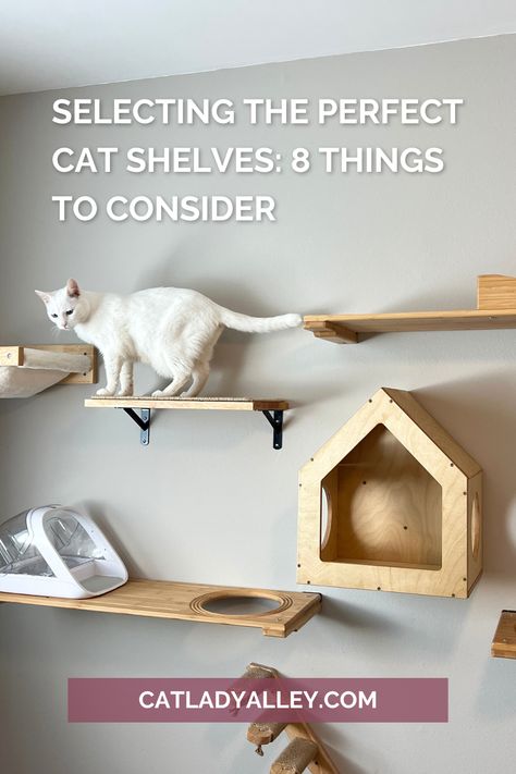 white cat standing on a cat shelf installed on a cat wall Cat Wall Inspiration, Cat Vertical Space, Cat Loft Ideas, Ikea Cat Wall, Renter Friendly Cat Wall, Cat Spaces In Home, Cat Shelves Diy, Diy Cat Wall Ideas, Diy Cat Wall