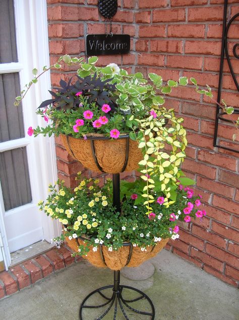 This would look nice outside! Planters For Shade, Sweet Potato Vines, Sweet Potato Vine, Tiered Planter, Flower Containers, Black Thumb, Fountain Grass, Potato Vines, Homestead Gardens