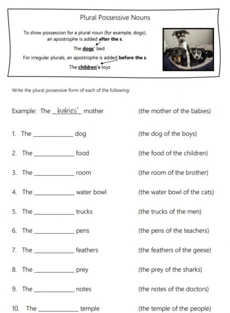 Possessive Nouns Worksheet, Possessive Apostrophe, Possessive Noun, Singular Possessive Nouns, Plural Possessive Nouns, Plurals Worksheets, Plural Nouns Worksheet, Plural Noun, Possessive Nouns