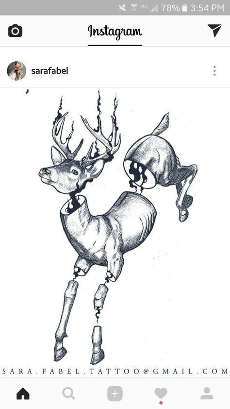 Sara Fabel Deer Skull Drawing, Antler Drawing, Antlers Drawing, Deer Skeleton, Deer Head Tattoo, Tattoos Illustration, Sara Fabel, Deer Skull Tattoos, Deer Drawing