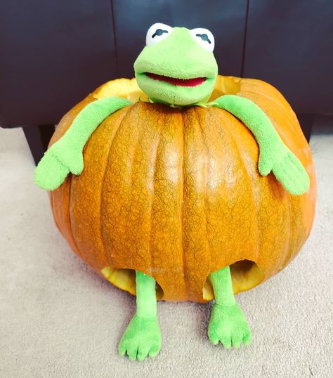 Funny Day Quotes, Friends Thanksgiving, Happy Turkey Day, Spotify Covers, Happy Thanksgiving Day, Kermit The Frog, The Frog, Halloween Funny, Pumpkin Carving