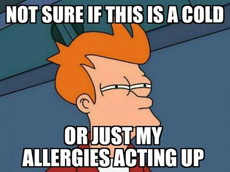 Troubles of a sinus sufferer Miss My Ex, Belly Laughs, Bernie Sanders, Funny Humor, Writing Paper, Super Funny, How I Feel, Relationship Advice, I Laughed