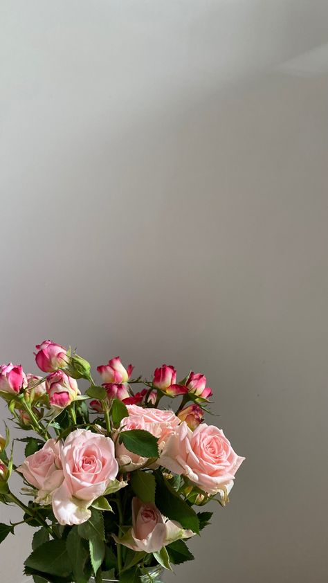 Flower Hd Wallpaper, Pink Roses Wallpaper, Flower Wallpaper Iphone, Flower Lockscreen, Roses In Vase, Funny Flowers, Icon Photography, Picture Pink, Flowers Romantic