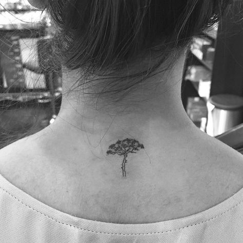 acacia tree Acacia Tree Tattoo, The Neck Tattoo, Jonboy Tattoo, Mayan Tattoos, Neo Tattoo, Upper Back Tattoos, Jon Boy, Acacia Tree, Back Back