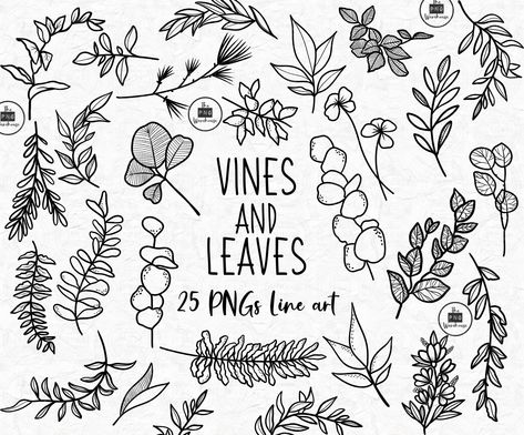 Vine Drawing, Leaves Doodle, Plant Doodle, Tree Doodle, Botanical Line Drawing, Doodle Art Flowers, Hand Drawn Elements, Feuille Eucalyptus, Diy Watercolor Painting