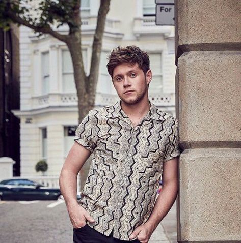 Niall Horan 2017, Niall Horan Outfits, Niall Horan News, Too Much To Ask, Irish Boys, Frat Boy, James Horan, Blonde Guys, Irish Men