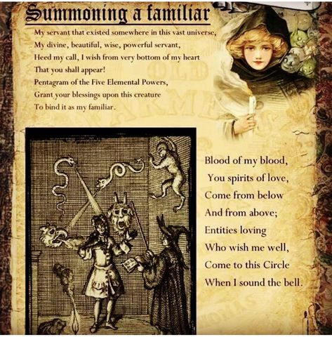 How To Find Your Familiar, How To Summon A Familiar, Witchy Practices, Ria Core, Witch Grimoire, Art Planner, Charmed Book Of Shadows, Witches Familiar, Magic System