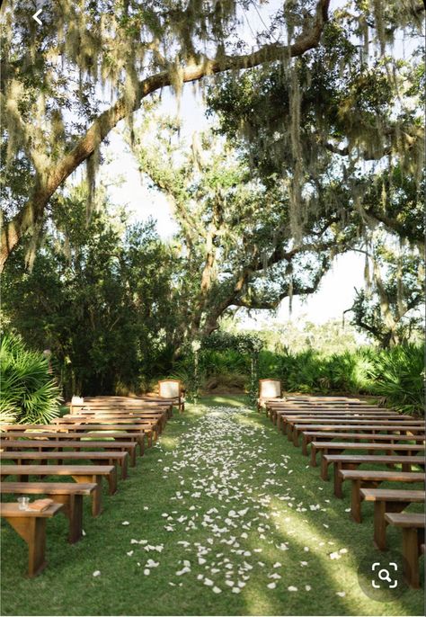 Forest Theme Wedding, Rustic Wedding Decorations, Future Wedding Plans, Wedding Mood Board, Wedding Goals, Outdoor Wedding Venues, Wedding Mood, Forest Wedding, Wedding Planners