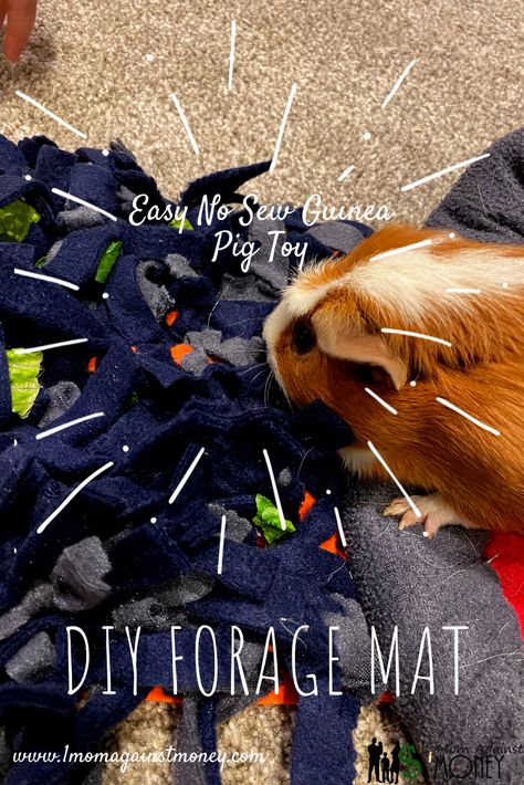 DIY No Sew Guinea Pig Rooting or Forage Mat Diy Rabbit Forage Mat, Foraging Mat For Rabbits Diy, Guinea Pig Sewing Projects, Guinea Pig Fleece Bedding Diy, Guinea Pig Diy Hideouts, Guinea Pig Diy Toys, Guinea Pig Hideout Diy, Guinea Pig Toys Diy Homemade, Diy Guinea Pig Hideout