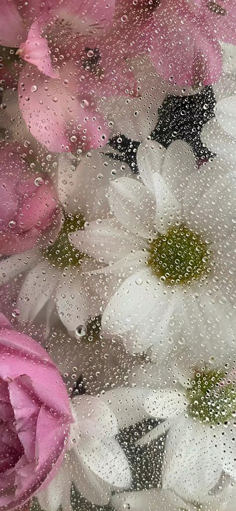 Wet Flowers, Beauty Iphone Wallpaper, Wallpaper Estetika, Floral Wallpaper Iphone, Vintage Flowers Wallpaper, Flowery Wallpaper, Floral Wallpaper Phone, Simple Phone Wallpapers, Flower Iphone Wallpaper