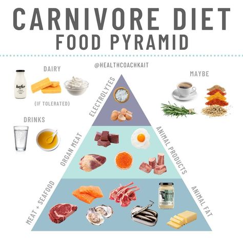 Caveman Diet Food List, Keto Food Pyramid, Lion Diet, Diet On A Budget, Carnivore Keto, Animal Based Diet, Keto Benefits, The Carnivore Diet, Caveman Diet