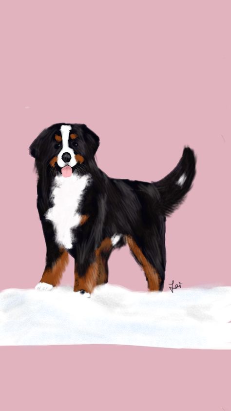 Digital dog drawing - handsome Bernese mountain dog on snow Bernese Mountain Dog Wallpaper, Bernese Mountain Dog Illustration, Bernese Mountain Dog Drawing, Burmese Mountain Dogs, Dog Drawing Simple, Dog Background, Snow Dog, Mountain Background, Dog Steps