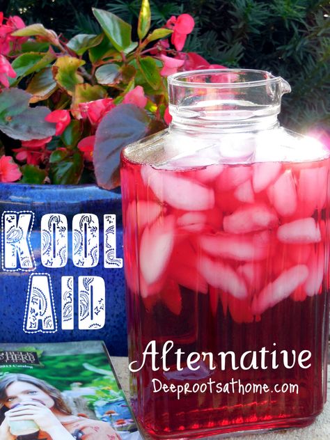 Kool-Aid Alternative, whole leaf stevia, peppermint tea, hibiscus tea, red color, natural Herbal Kool Aid, Homemade Koolaid, Summer Treats For Kids, Kids Drink, Peppermint Leaf, Treats For Kids, Red Dye, Bulk Herbs, Healthy Drink