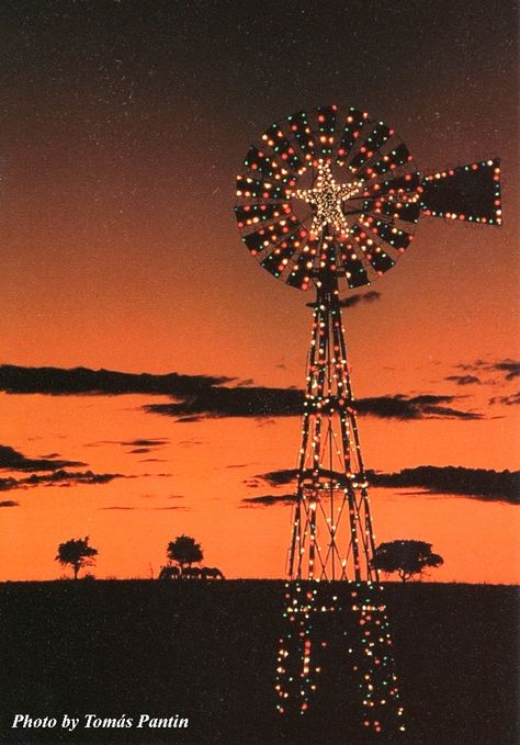 Christmas in Texas! Photo by Tomas Pantin Christmas Lights At Night, Christmas In Texas, Only In Texas, Lights At Night, Texas Christmas, Old Windmills, Texas Forever, Loving Texas, Western Christmas