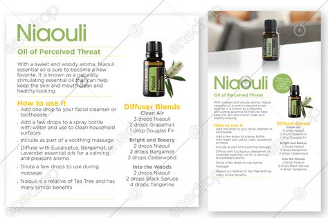 Niaouli Essential Oil Uses, Doterra Niaouli, Niaouli Essential Oil, Doterra Oils, Organizing Tips, Oil Uses, Aromatherapy Oils, Essential Oil Uses, Diffuser Blends