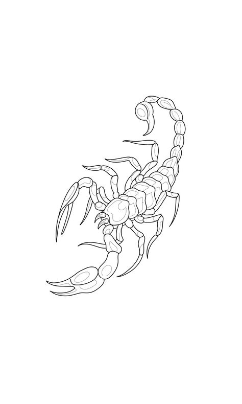 Scorpion And Snake Tattoo Design, Scorpion Elbow Tattoo, Scorpion Tattoo Design Men, Scorpion Tattoo Outline, Scorpion Tattoo Stencil, Scorpion Outline, Burger Tattoo, Traditional Tattoo Illustration, Scorpion Drawing