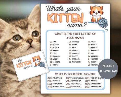 This What's Your Kitten Name Game with Name Tags is a printable PDF and a digital download. This fun name generator game makes the perfect ice breaker game for a kitten birthday party. Use the kitten name game printable for your family game night or as a classroom activity as part of your teacher resources.  Print as many copies as you like, so you can enjoy this cat party game year after year. *What you receive: An instant digital download - nothing will be mailed 2- 8.5 x 11 printable PDFs (print as many as you like)    -1 Kitten name generator game   -1 Kitten name tag template (each tag is 3.5x2.5) Print the name generator on card stock for more durability. Print the Kitten name tags on sticker paper and cut on the lines for each participant. *Find your file: Check your email for a lin What Is Your Cat Name, Cat Theme Party Games, What's Your Name Game, Cat Themed Birthday Party Games, Cat Birthday Party Games, Funny Name Generator, Classroom Party Games, Cat Games, Kitten Birthday Party