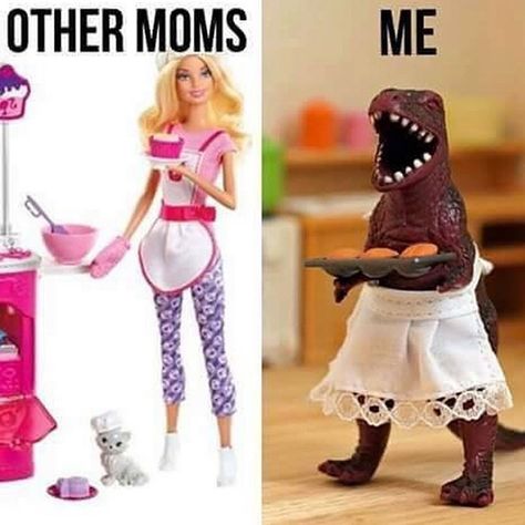 Other moms vs me Mom Memes, Parenting Memes, A Dinosaur, Chuck Norris, Parenting Humor, E Card, Mom Quotes, Mom Humor, Bones Funny