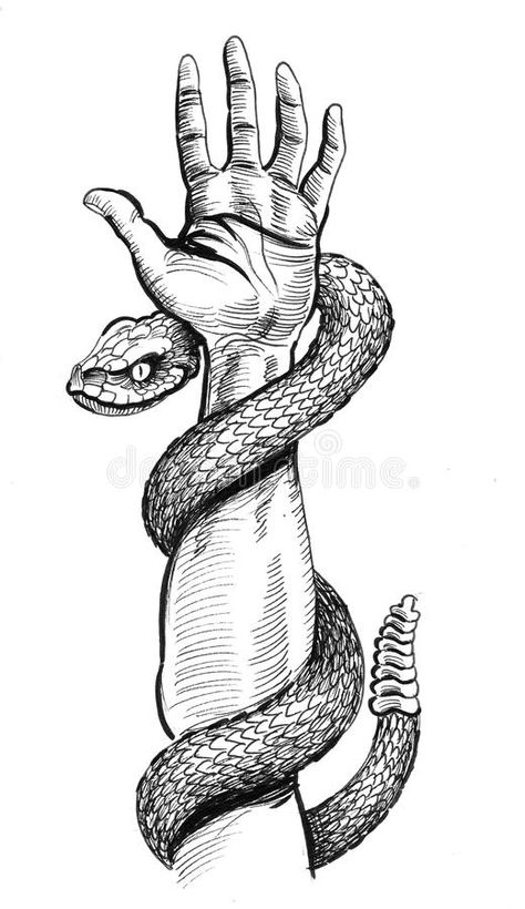 Drawing On Arm, Snake Draw, Drawing On Hand, Black Snake Tattoo, Rattle Snake, Snake Drawing, Illustration Wallpaper, White Drawing, Art Drawings Sketches Creative