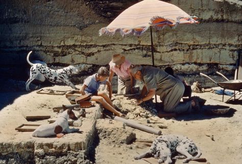 Picture of Louis Leakey and his family in Tanzania National Geographic Archives, Archaeology Dig, Theory Of Evolution, Archaeological Finds, National Geographic Photos, Archaeological Site, Ancient History, Ethiopia, Tanzania