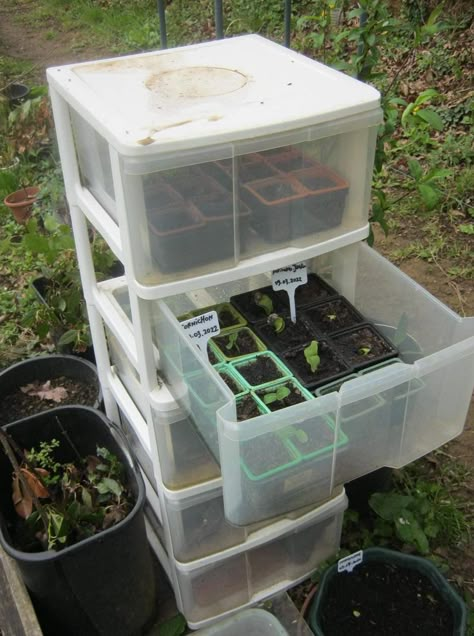 Mini Greenhouse, Veg Garden, Home Vegetable Garden, Remodel Kitchen, Greenhouse Gardening, Garden Yard Ideas, Vegetable Garden Design, Food Garden, Veggie Garden