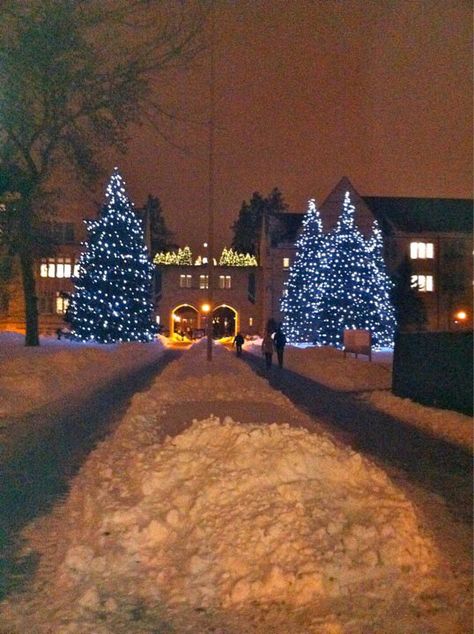 university of st thomas at christmas time University Of St Thomas Minnesota, Thomas Aesthetic, Lockscreen Widget, St Paul Minnesota, I Graduated, Northwestern University, St Catherine, St Thomas, My School