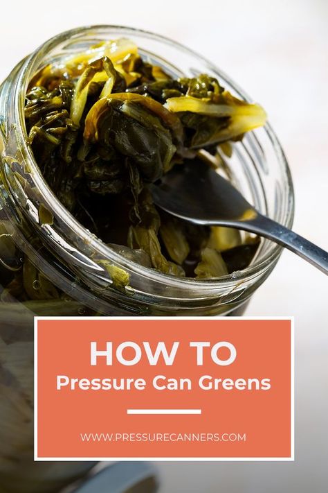 Find here everything you need to know about how to pressure can greens. Keep your food longer by pressure canning it and storing it. #Pressure #Canning Canning Mustard Greens, Canning Collard Greens Recipe, Canned Greens Recipe, Canning Kale, Canning Collard Greens, Canning Greens, Canning Pesto, Homestead Canning, Pressure Canning Meat