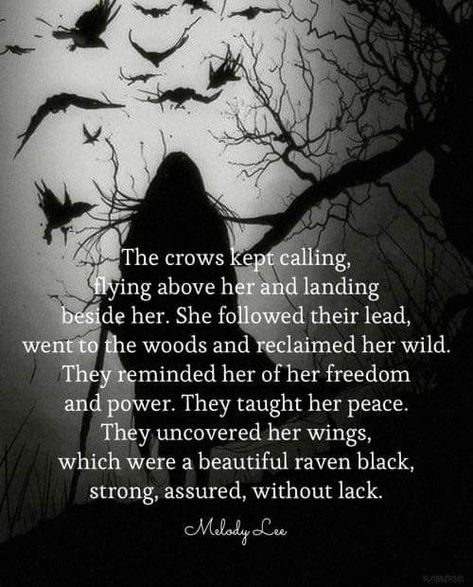 Crows Spirituality, Crow Quotes Wisdom, Raven In Witchcraft, Raven Quotes, The Crow Quotes, Qoutes About Crow, Raven Aesthetic Bird Dark, Healing Magic, Witch Quotes