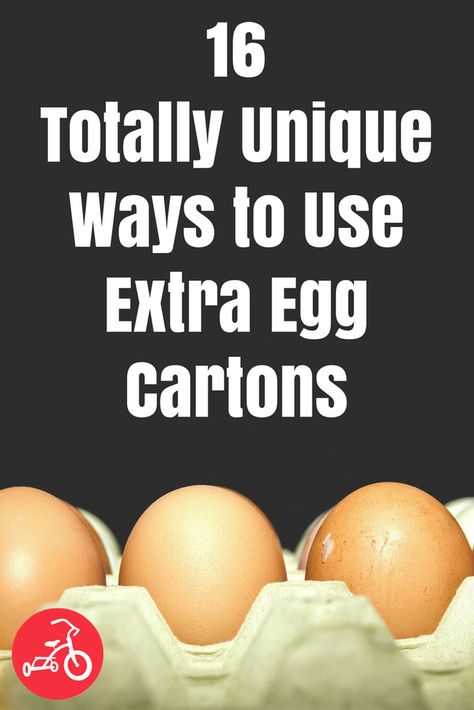 With Easter just around the corner, chances are you’ll soon have some extra egg cartons on your hands. Put them to good use with these simple crafts perfect for kids of all ages. From dump trucks to colorful chicks, keep reading to let the upcycling... Dollar Tree Storage Bins, Dollar Tree Storage, Egg Cartons, Egg Carton Crafts, 15 Diy, Handmade Beauty Products, Egg Carton, Diy Hanging, Mason Jar Diy