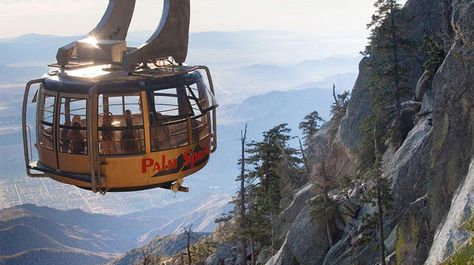 Palm Springs Aerial Tramway San Jacinto Mountains, Aerial Tramway, Palm Spring, Admission Ticket, San Jacinto, Palm Desert, Joshua Tree National Park, Theme Parks, Family Day