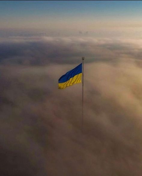 Flag Of Ukraine, Soldier Love, Wallpaper For Phone, Support Ukraine, Ukraine Flag, Ukrainian Flag, The Fog, Blue Yellow, Phone Wallpaper