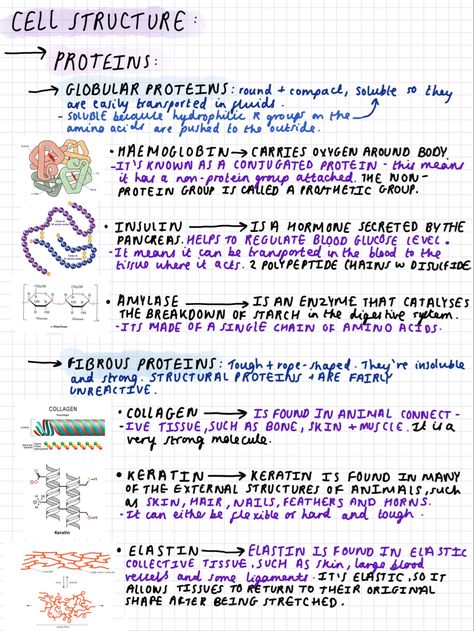 A Level Biology Cell Structure Notes, As Level Biology, Biology Alevel Notes, Biology Notes Cells, Revision Notes Biology, Biology Revision Gcse, Gcse Biology Revision Notes, A Level Biology Notes, Notes For Biology