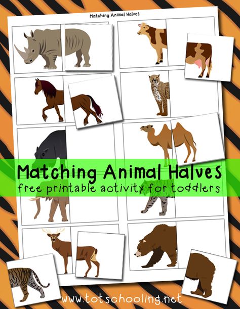 Great for distributing to students to find their pairs/partners !  Plus, it's free! - Matching Animal Halves Free Printable Farm Week, Zoo Preschool, Zoo Activities, Dear Zoo, File Folder Activities, Free Printable Activities, Animal Activities, Matching Activity, Tot School