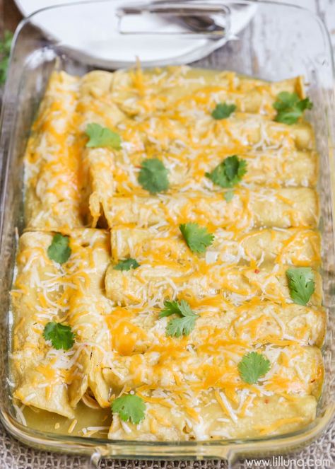 Green Chile Chicken Enchiladas Casserole Enchilada, Enchiladas Mexicanas, Green Sauce Recipe, Green Chili Chicken Enchiladas, Green Chili Enchiladas, Panini Recipes Chicken, Green Chicken Enchiladas, Green Chile Enchilada Sauce, Easy Chicken Enchilada Recipe