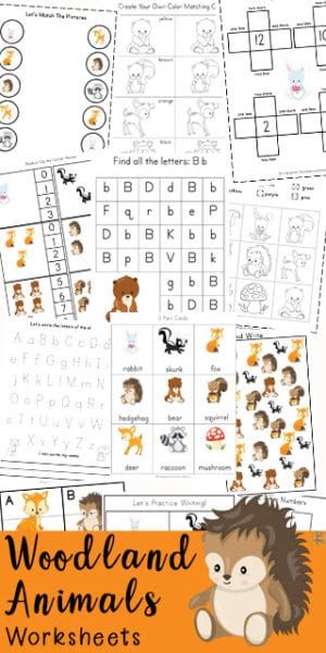 FREE Adorable Woodland Animals Worksheets. #woodlandanimals #woodlandanimalworksheets #fhdhomeschoolers #freehomeschooldeals Forest Worksheets Preschool, Forest Animals Preschool Worksheets, Forest Animals Preschool Activities Free Printables, Forest Animal Worksheets, Forest Animal Counting, Forest Animal Worksheets Preschool, Forest Animals Preschool Theme, Woodland Creatures Preschool Theme, Forest Preschool Theme