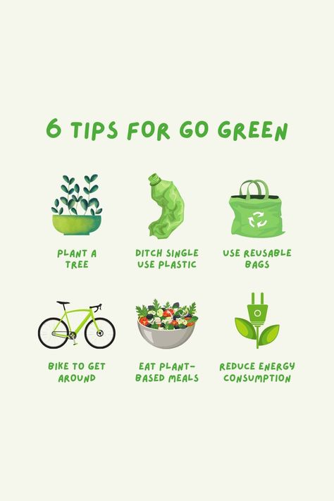 ♻️ 6 Tips to Go Green🌱 🔹 Plant a tree 🔹 Ditch single use plastic 🔹 Use reusable bags 🔹 Bike to get around 🔹 Eat plant-based meals 🔹 Reduce energy consumption #GoGreen #EcoTips #PlasticFree Eco Friendly Instagram Posts, Environmental Tips, Plant Based Aesthetic, Recycling Campaign, Environmentally Friendly Living, Sustainability Projects, Save Environment, Reduce Energy Consumption, Save Our Earth