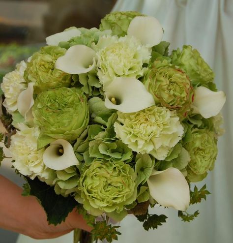 Green with White Green Carnation Flower, Green Wedding Flower Arrangements, Carnation Flower Bouquet, Flowers For The Bride, Green Carnation, Carnation Bouquet, Green Wedding Bouquet, Green Weddings, Green Wedding Flowers