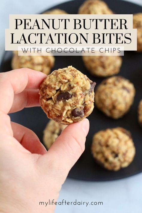 One-bowl and no-bake, these Peanut Butter Chocolate Chip Lactation Bites are the perfect snack for nursing moms! Packed with oats, brewer’s yeast, and ground flax meal, this healthy lactation recipe is also a one-handed snack you can quickly whip up during nap time! Best Snacks For Breastfeeding Moms, Brewer Yeast Recipes, Lactation Oatmeal Bites, Homemade Lactation Snacks, Best Foods To Eat While Breastfeeding, Lactation Oat Balls, Postpartum Lactation Snacks, Easy Mother’s Day Snacks, Lactation Balls No Bake