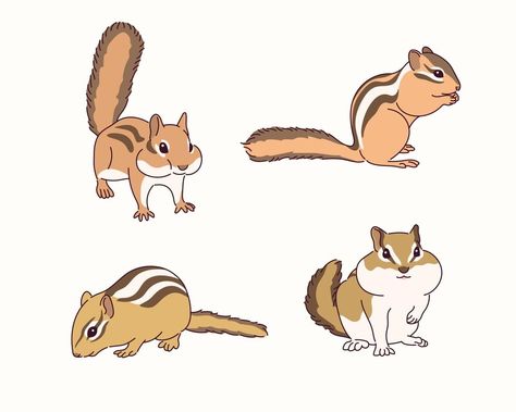 Cute squirrel illustration. Cute Squirrel Art, Chipmunk Drawing Easy, Squirrel Cute Illustration, Squirrel Animation, Chipmunk Illustration, Chipmunk Drawing, Squirrel Icon, Cartoon Chipmunk, Squirrel Aesthetic