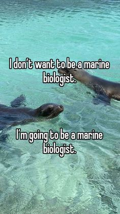 Marine Biology Wallpaper, Marine Biology Jobs, Biology Jobs, Oceanography Marine Biology, Job Motivation, Job 3, Biology Notes, Marine Biologist, Future Jobs