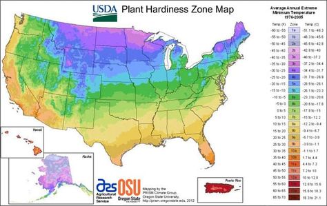 Learn how to plan and plant a winter container garden to liven up your backyard during the coldest season of the year. Growing Zones Map, What To Plant When, Rose Plant Care, Plants That Attract Butterflies, Plant Hardiness Zone Map, Pruning Roses, Planting Calendar, Plant Zones, Deer Resistant Plants