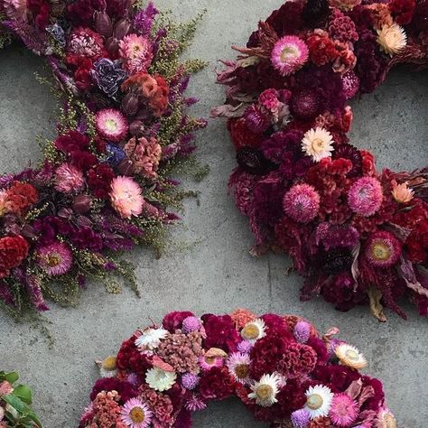 The Wreath Room on Instagram: "There’s a trend going on in my wreaths right now. I can just imagine all of these on one wall, with a Christmas tree nearby decorated with a dried globe amaranth garland, baby’s breath tinsel and strawflower ornaments. But of course!" Dried Flower Christmas Garland, Dried Strawflower Wreath, Strawflower Ornaments, Amaranth Garland, Strawflower Garland, Globe Amaranth, Baby S Breath, Just Imagine, Amaranth