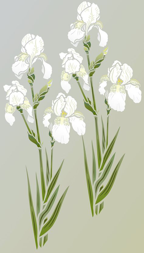 Iris Stencil, Flowers Reference, Iris Drawing, Japanese Symbols, Tattoo Reference, Glass Paintings, Flower Silhouette, Modern Botanical, Iris Flower